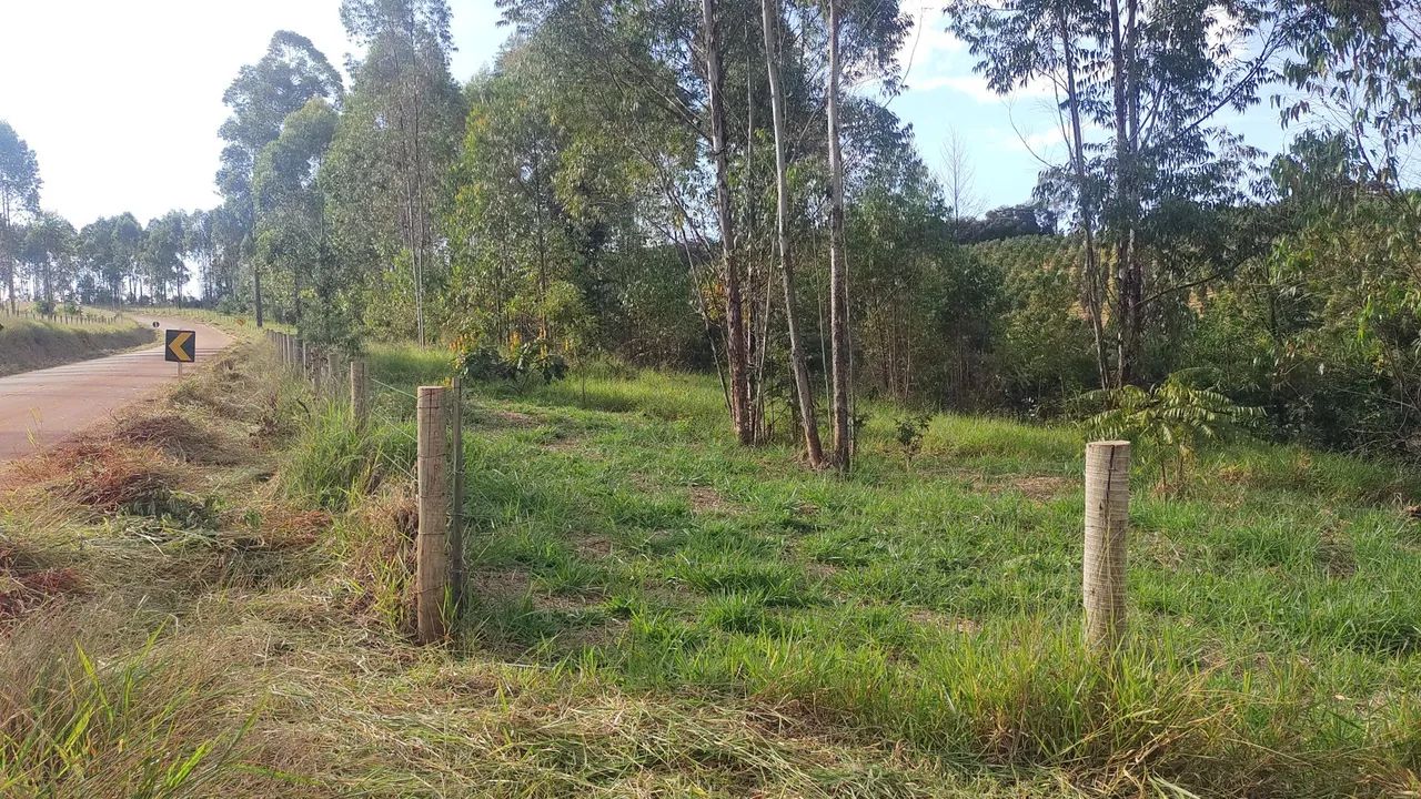 Vendo chácara em Belo vale de 2000 mt - Foto 3