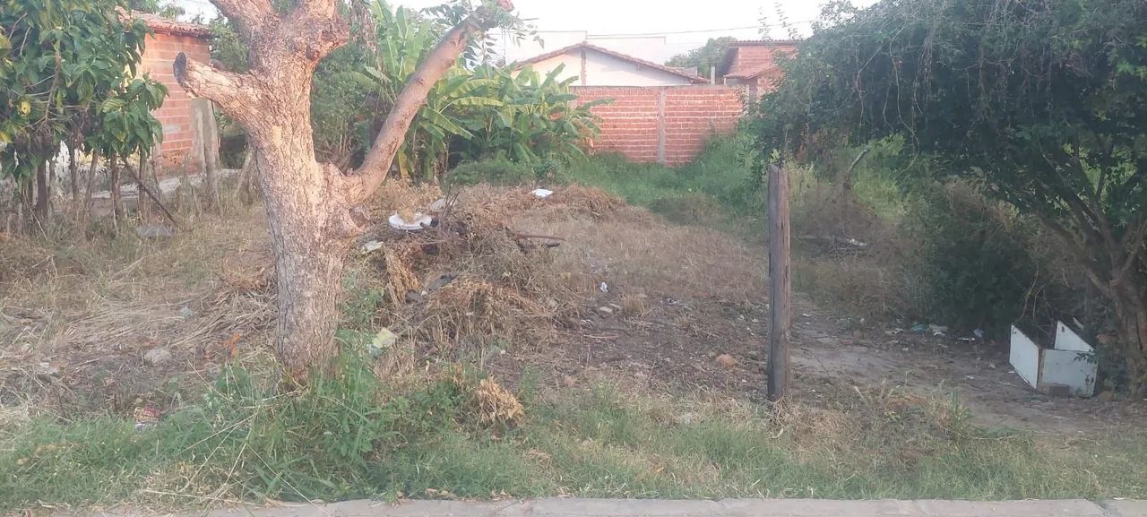terreno na cidade de altos . - Foto 3
