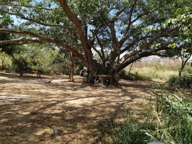 Lote em Pompéu à 500m do Rio São Francisco - Foto 3