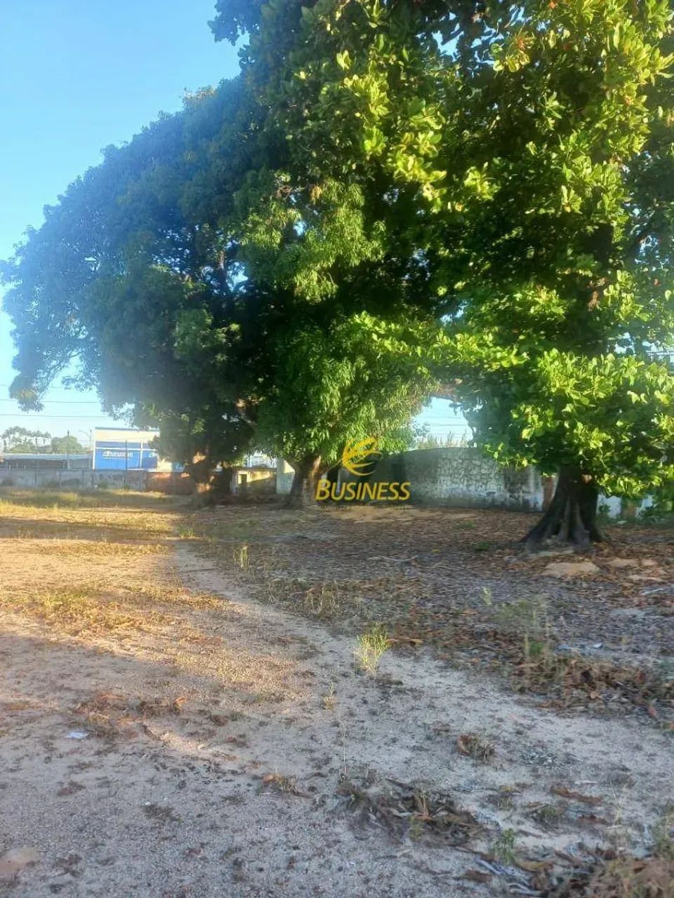 Terreno na Br 116, próximo ao centro de Messejana - Foto 5