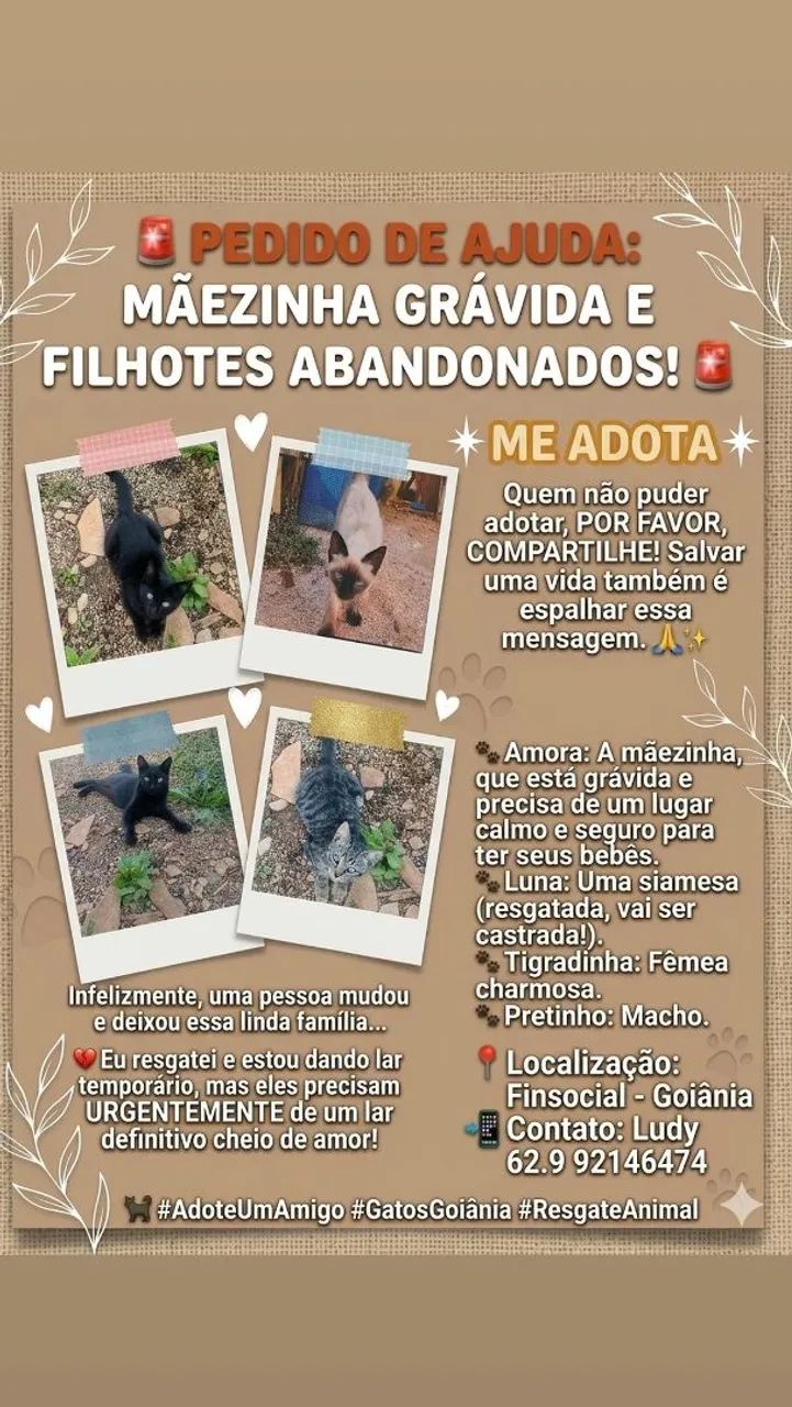 Adoção  responsável 