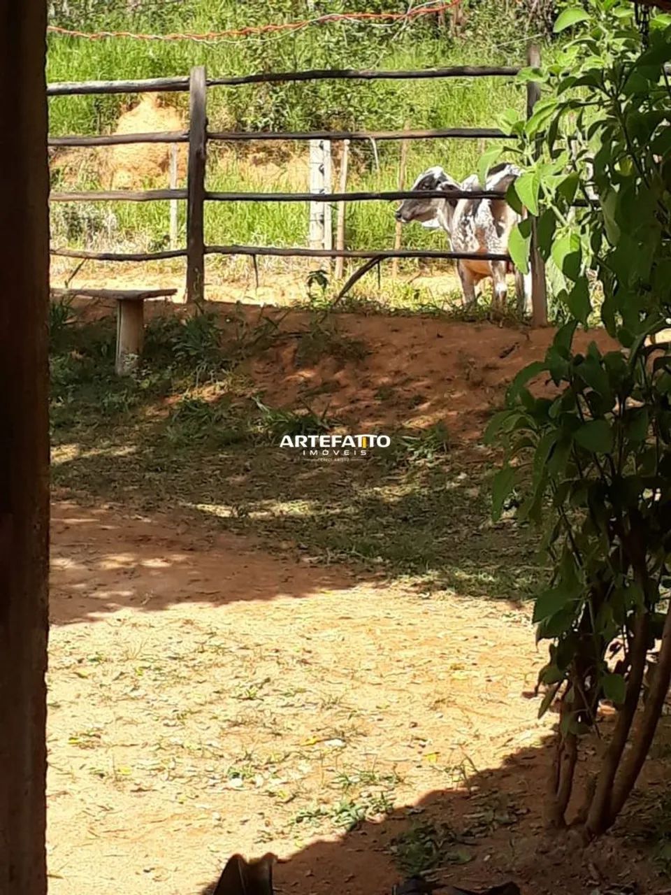 FAZENDA A VENDA EM VARGEM BONITA - Foto 5