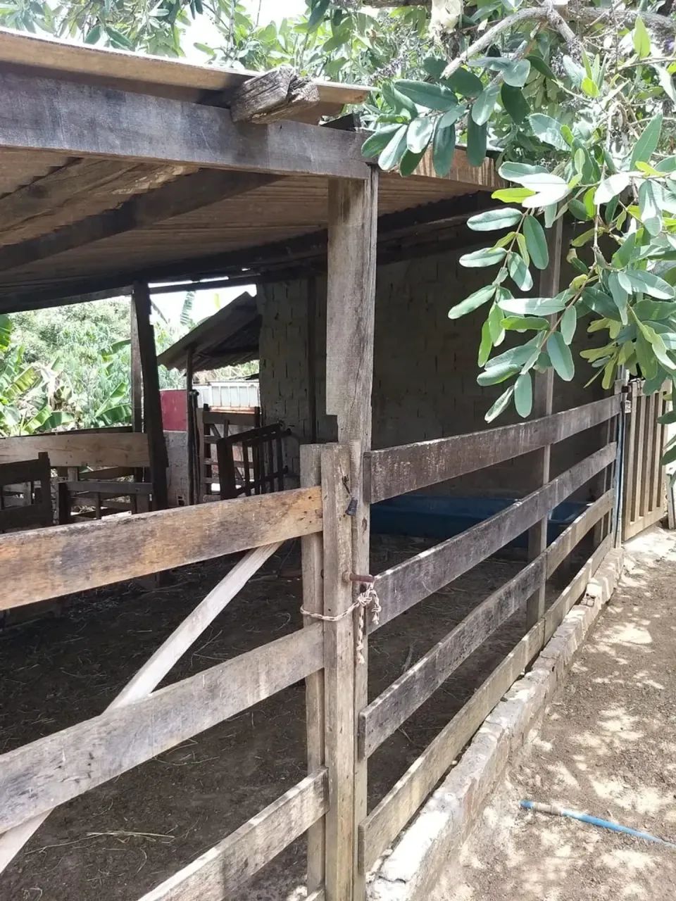 vendo excelente chacara p. alta sul gama - Foto 3