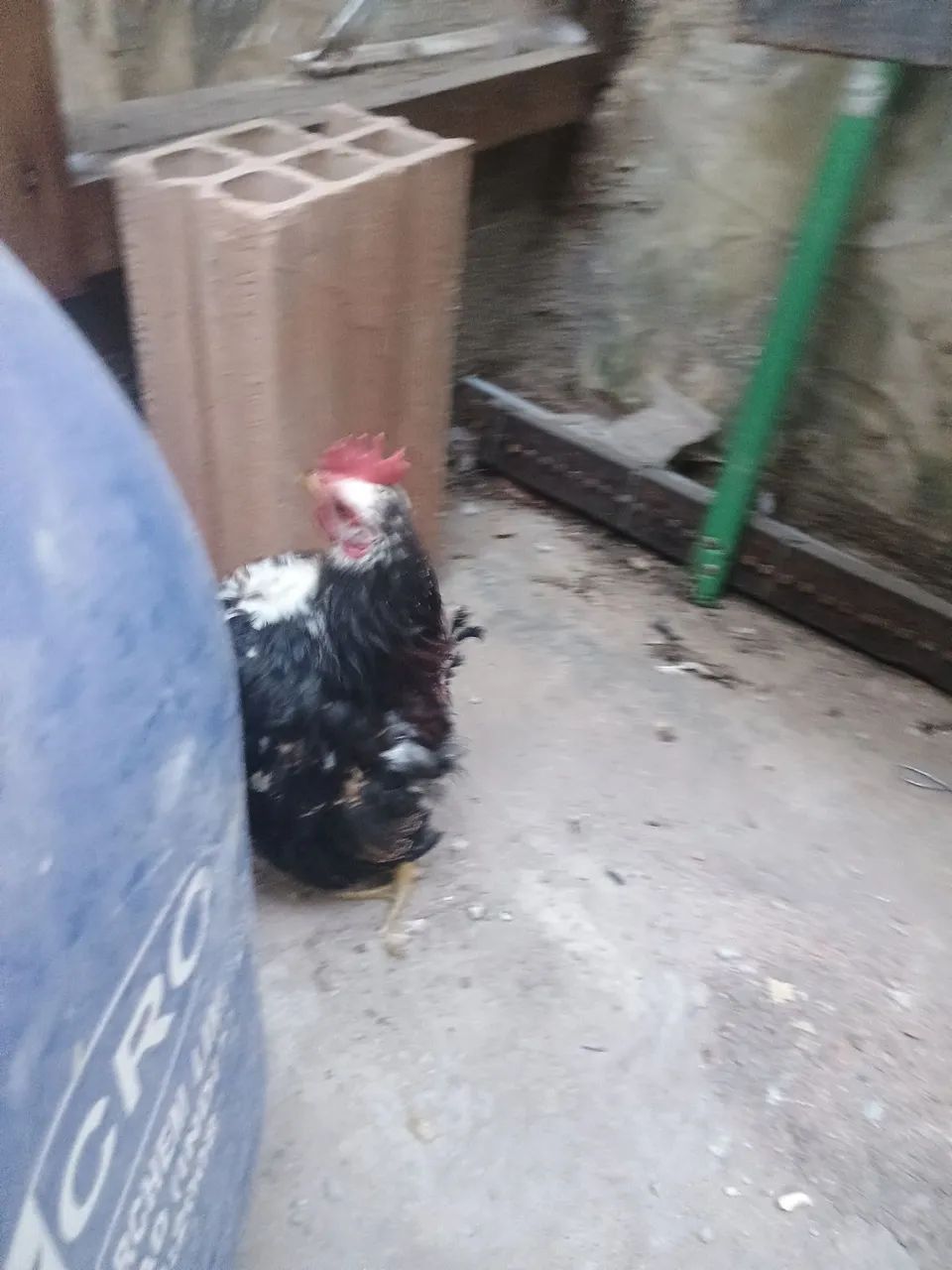 Doa se um garnize - Foto 3