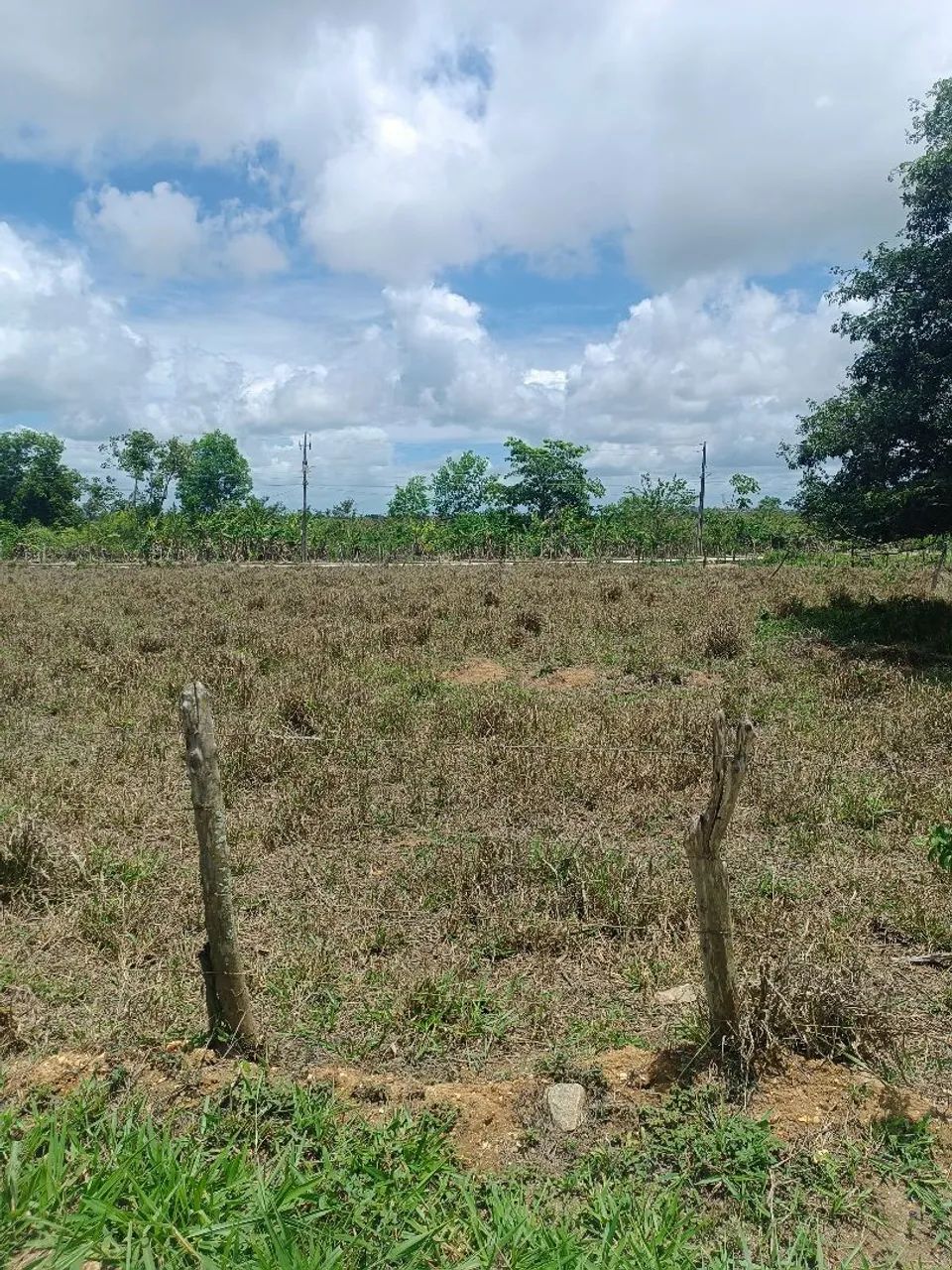 Vende-se Lotes - Foto 3