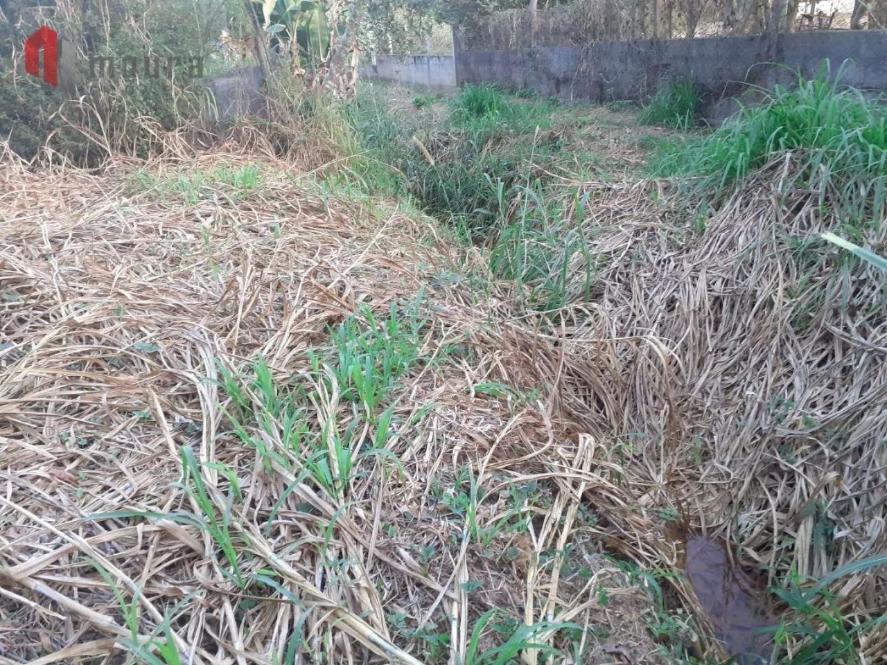 Terreno a venda - Foto 4