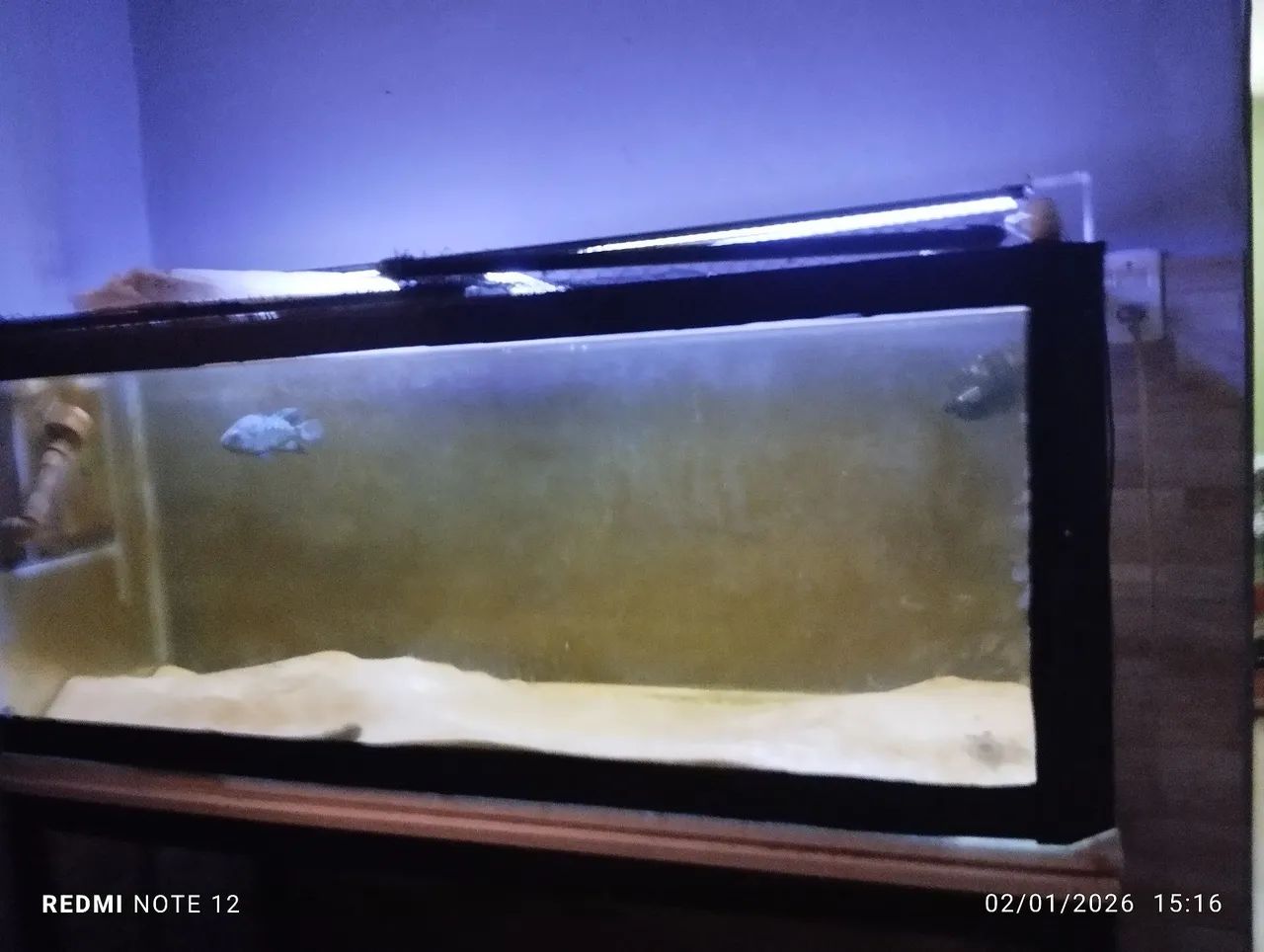 Aquário 400 litros 1.35 metros