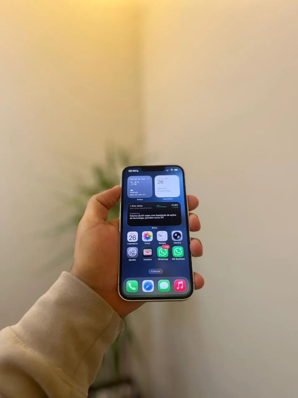 iPhone 13