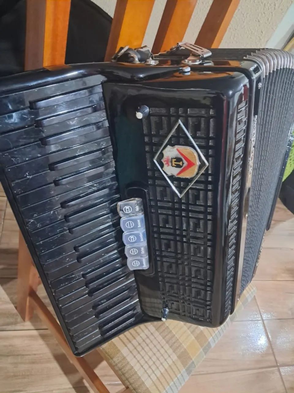 Acordeon todeschini artist 4 - Foto 5