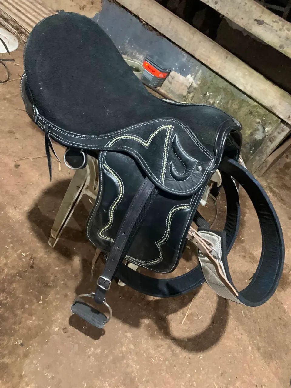 Cela de cavalo - Foto 2
