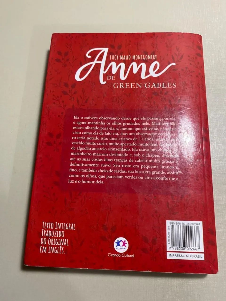 Anne de green gables  - Foto 2