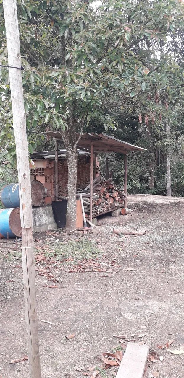 Sítio com rio de água potável  - Foto 5