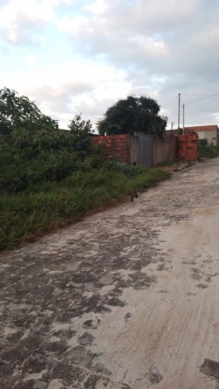 Vendo terreno no conde totalmente financiado - Foto 2