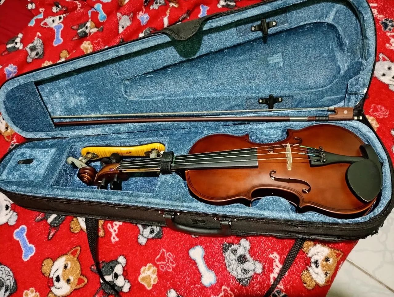 Violino  - Foto 3