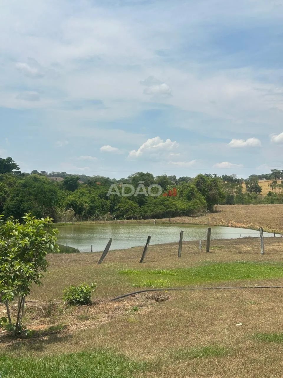 Fazenda em Guapó-GO - Foto 4