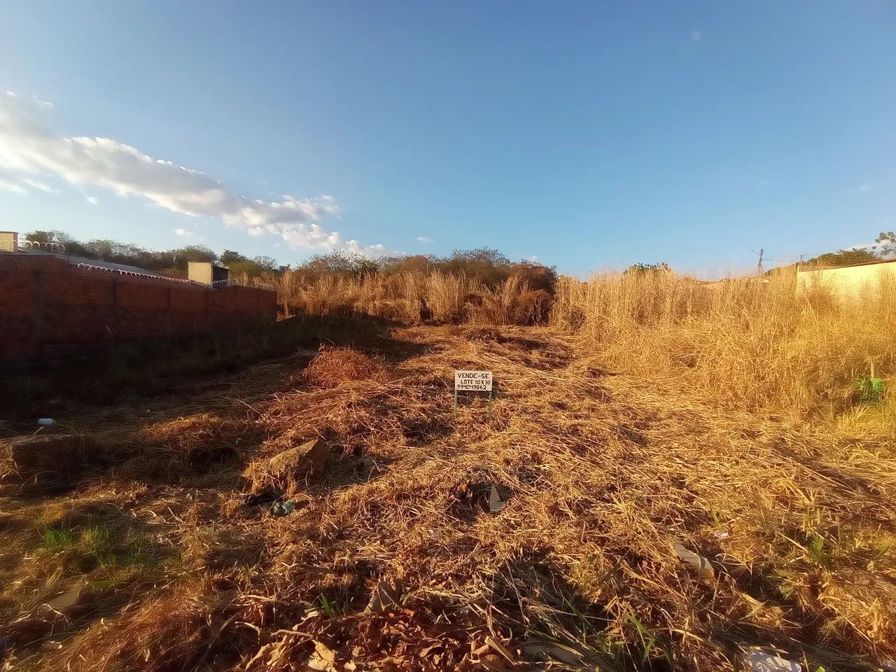 TERRENO PROXIMO A BR EM FLORIANO