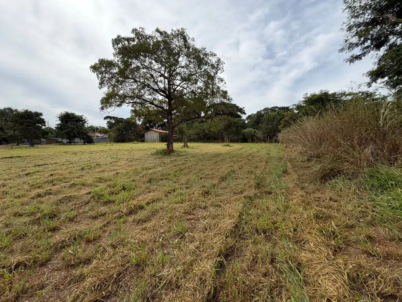 Vende-se área 8.500 m² - Foto 5