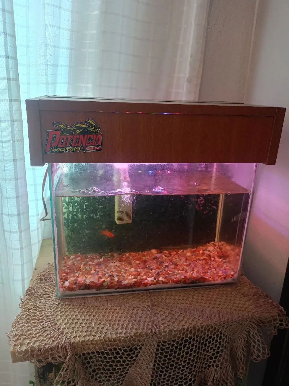 Aquário 25 litros  - Foto 4