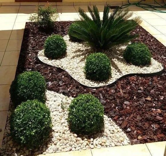 Paisagismo e Jardinagem  - Foto 5