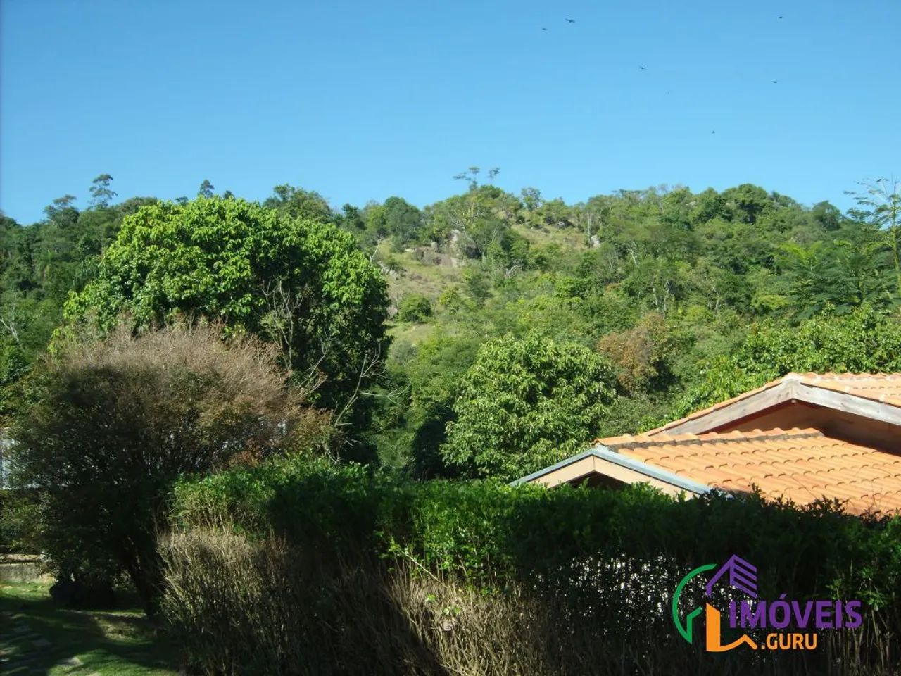 CHACARA - SÍTIOS FRUTAL - SP - Foto 4
