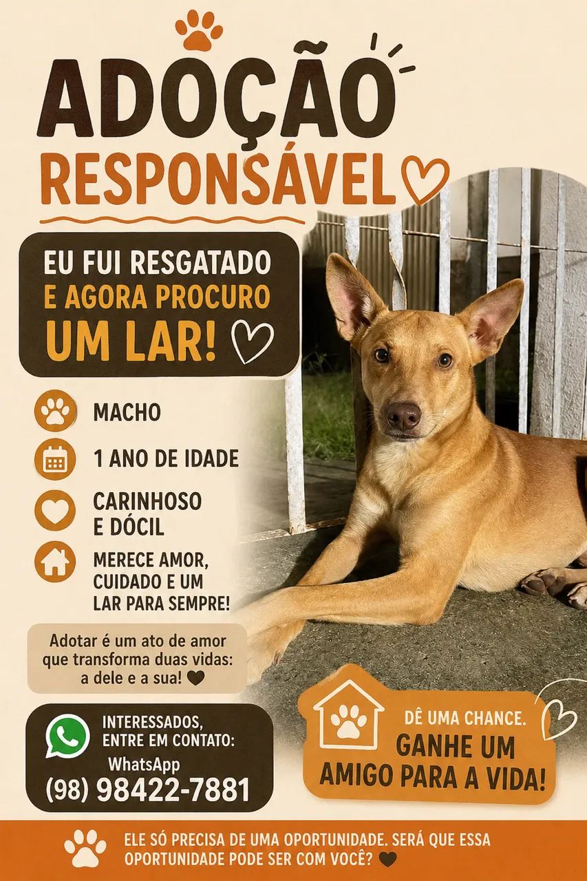Adoção responsável 