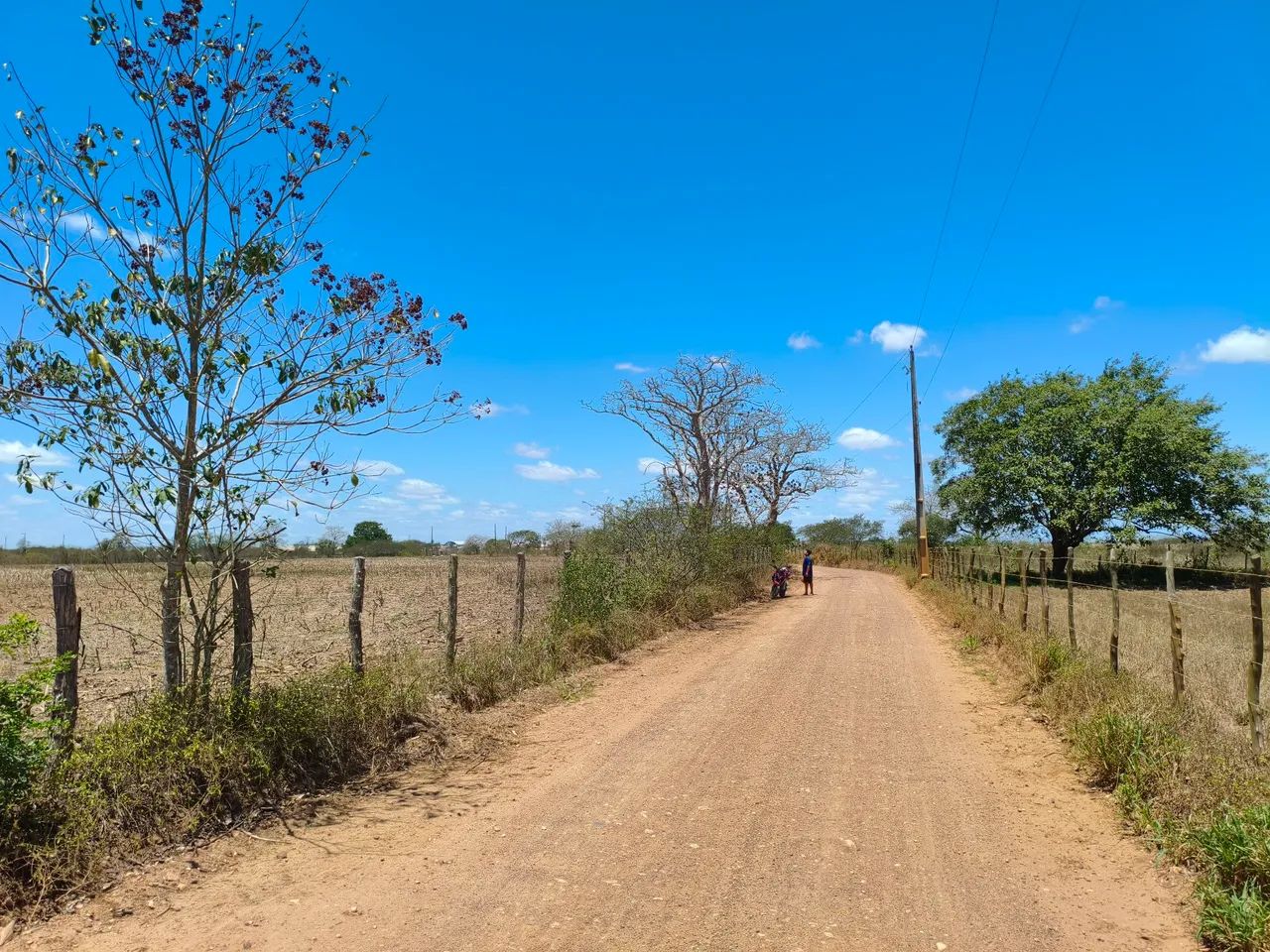 Terreno em Feira Nova  - Foto 3