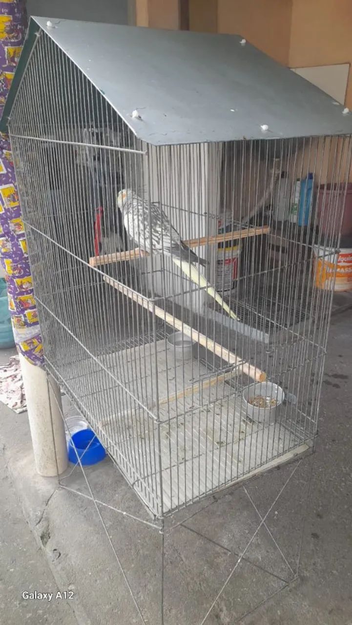 Gaiola Grande  - Foto 2
