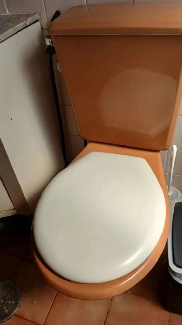 Vaso sanitário 