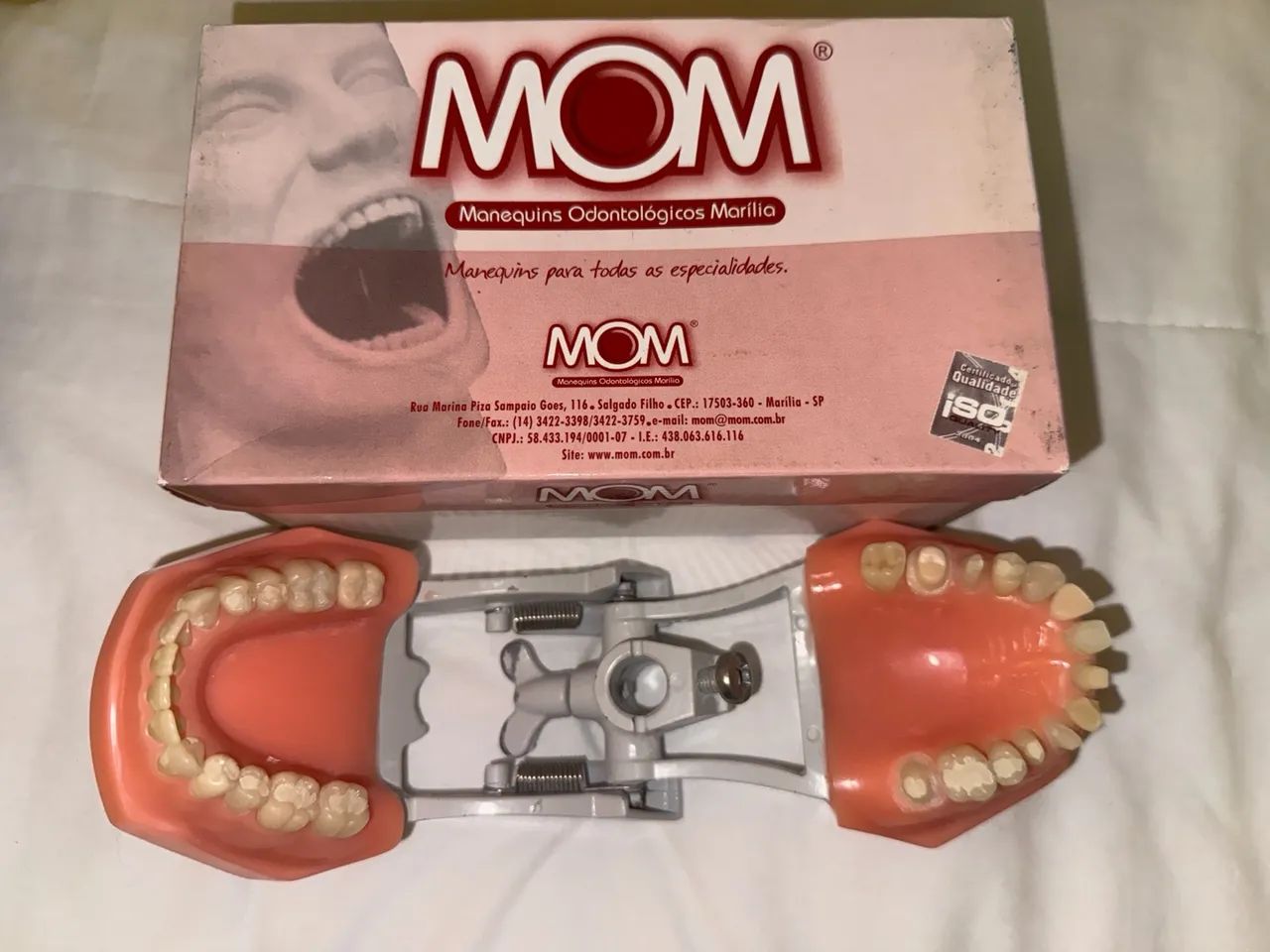 Manequim de Dentistica 