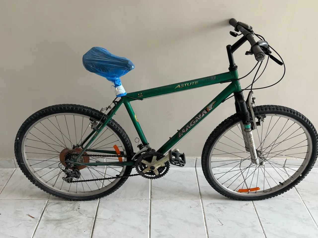 Bicicleta
