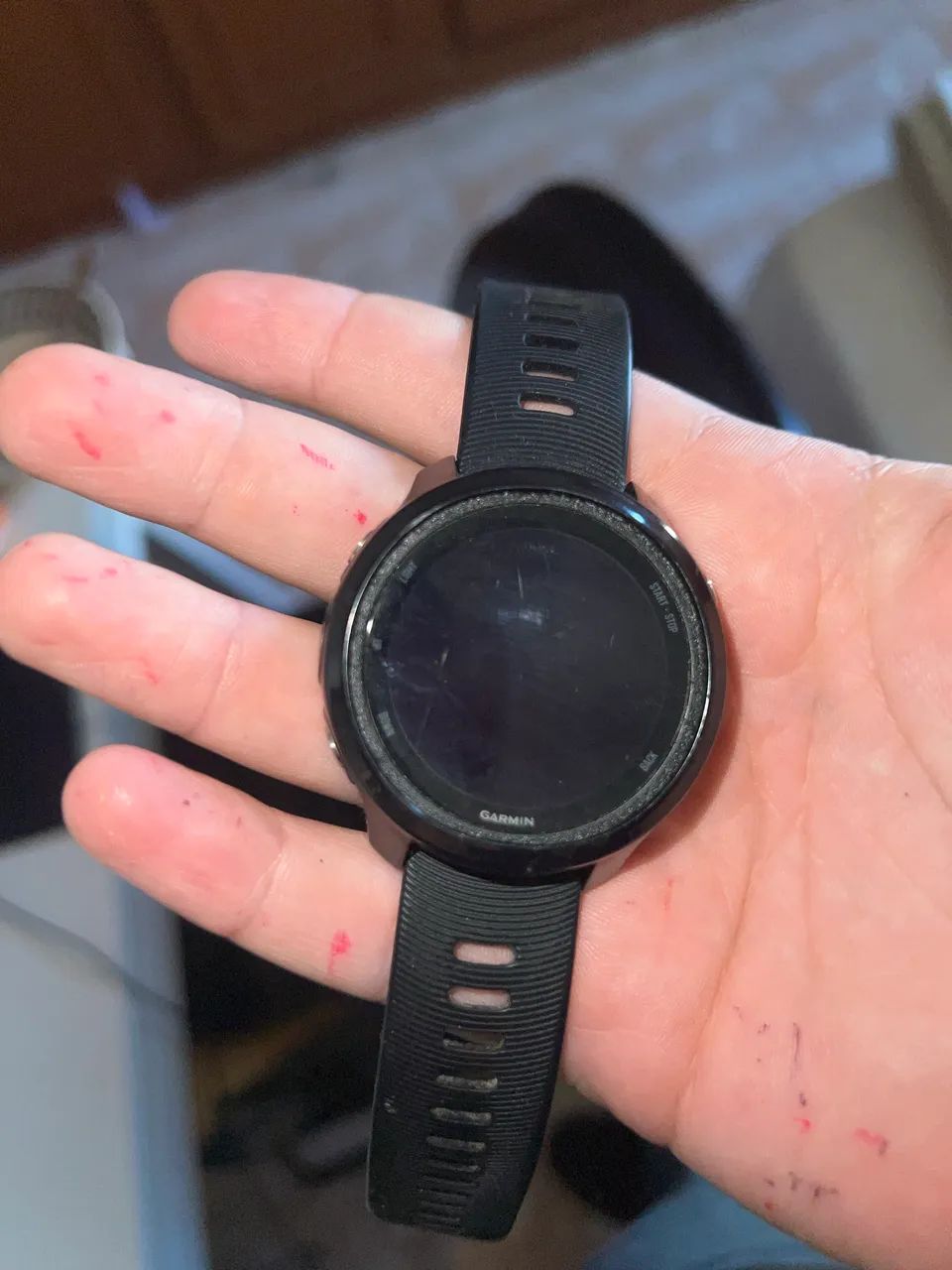 Garmin 245 Music  - Foto 2