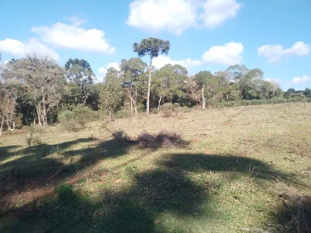 Chácara a venda  - Foto 4