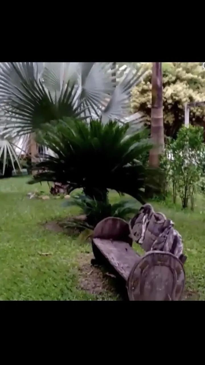 Vendo Sítio Excelente Oportunidade - Foto 2