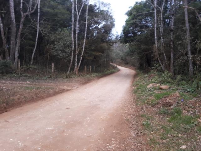Chacara com 36.000m² juruqui - Foto 11