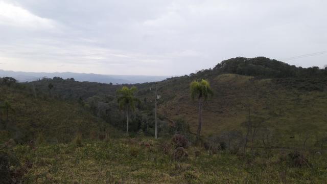 Fazenda com 663 alqueires em campo largo - Foto 4