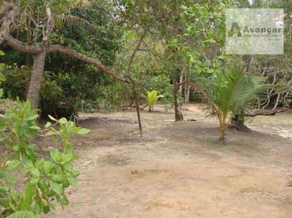Chácara com 3 dormitórios à venda, 20000 m² por R$ 500.000,00 - Carne de Vaca - Goiana/PE - Foto 16