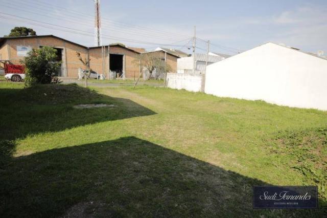 Terreno à venda, Braga, São José dos Pinhais. - Foto 2