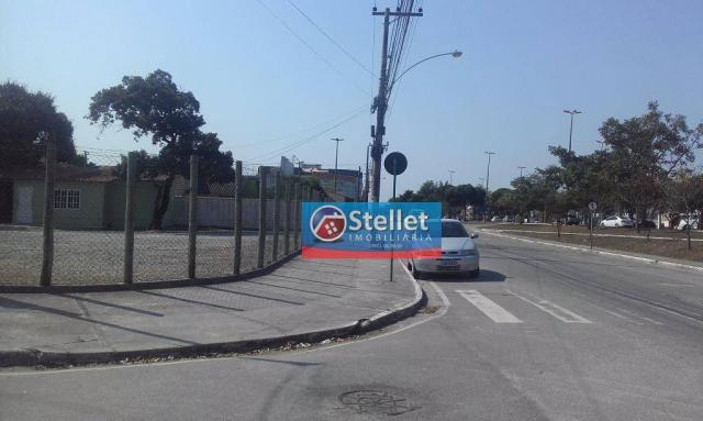 Terreno de frente a Rodovia no Jardim Mariléa - Foto 4