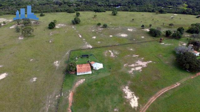 FAZENDA PARA GADO DE 14.950 HECTARES NA REGIÃO DE POCONÉ-MT - Foto 2