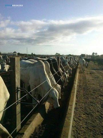 Fazenda no Estado da Bahia à venda, 600000000 m² por R$ 525.000.000 - Praia Grande - Salva - Foto 18