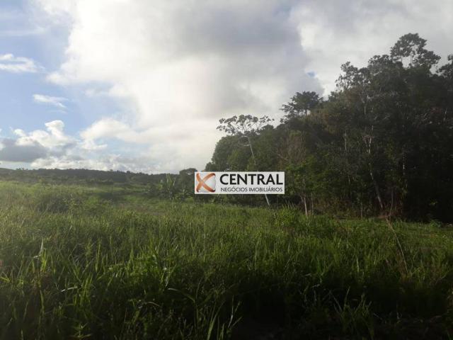 Fazenda à venda, 834268 m² por R$ 800.000,00 - Zona Rural - Mata de São João/BA - Foto 12