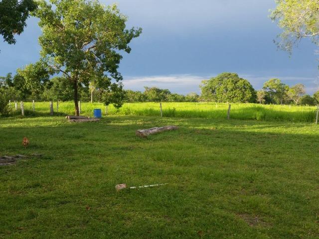 Sitio 120 hectares em Livramento - Foto 9