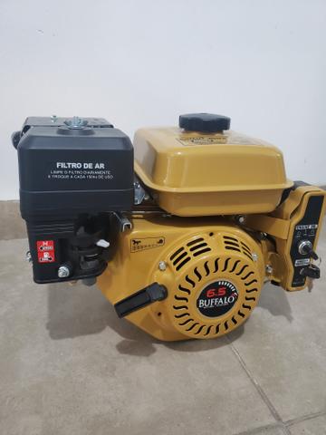 Motor Buffalo 6.5 cv