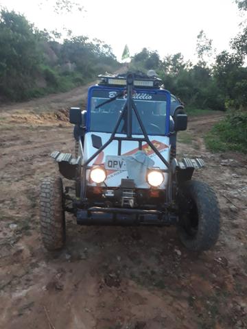 Buggy (gaiola de trilha 3 lugares) - Foto 2