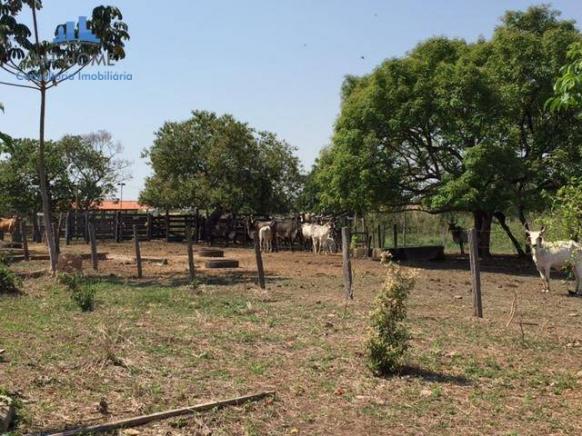 Sítio/Haras em Cuiabá com 50 baias para cavalos, 600 mts de rodovia - Foto 19