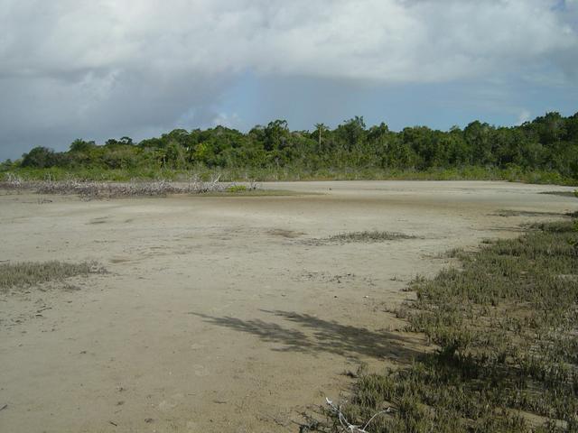 Fazenda em atividade