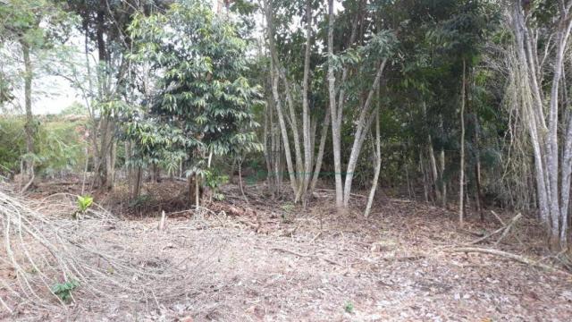 Terreno à venda, 1575 m² por R$ 150.000 - Fazenda Boa Fé - Teresópolis/RJ - Foto 7