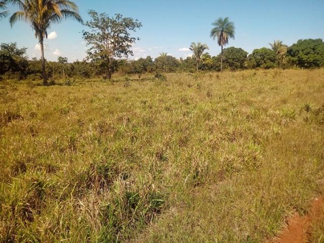 Chácara em Acorizal 38,2 hectares - Foto 9