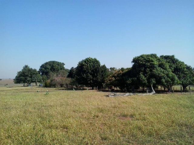 Chácara à venda, 20000 m² por R$ 350.000,00 - Zona Rural - Presidente Venceslau/SP - Foto 20