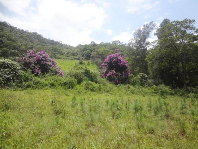 Sitio com 780.000 m² por R$ 1.150.000 - Ponte Nova - Teresópolis/RJ - Foto 12